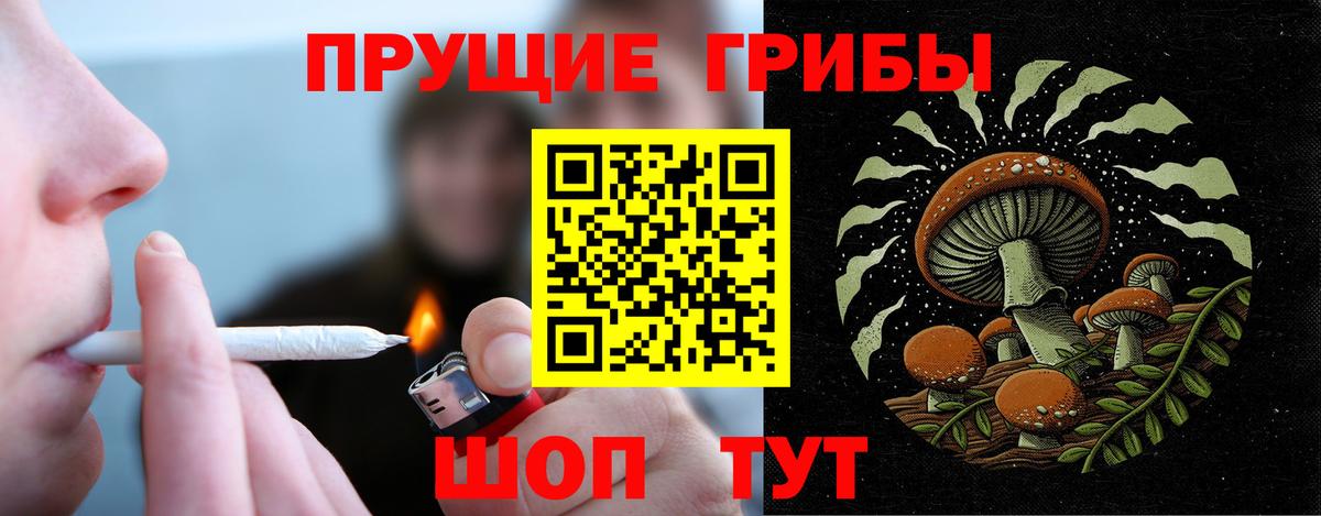 Псилоцибиновые грибы Magic Shrooms  Вход с VPN  Чехов  Псилоцибиновые грибы прущие грибы 